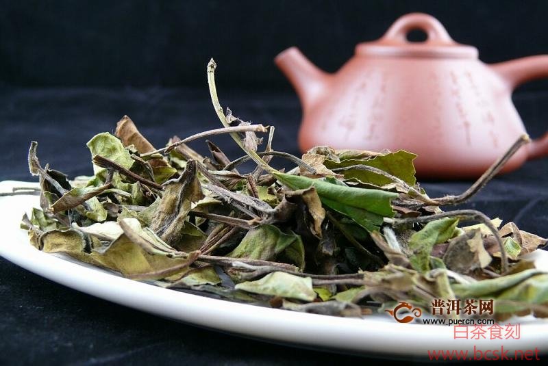 最贵白茶多少钱一斤，盘点两大影响白茶价格的因素
