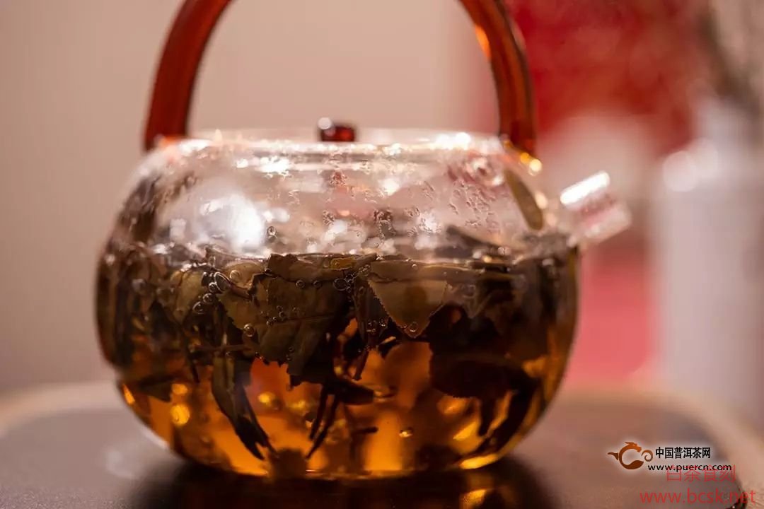 白茶要存放多久才好喝？