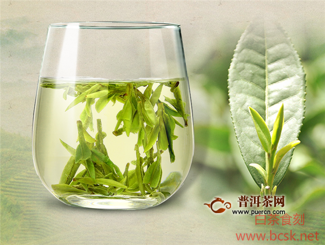 绿茶与白茶有什么区别？工艺、特点、功效都不一样！