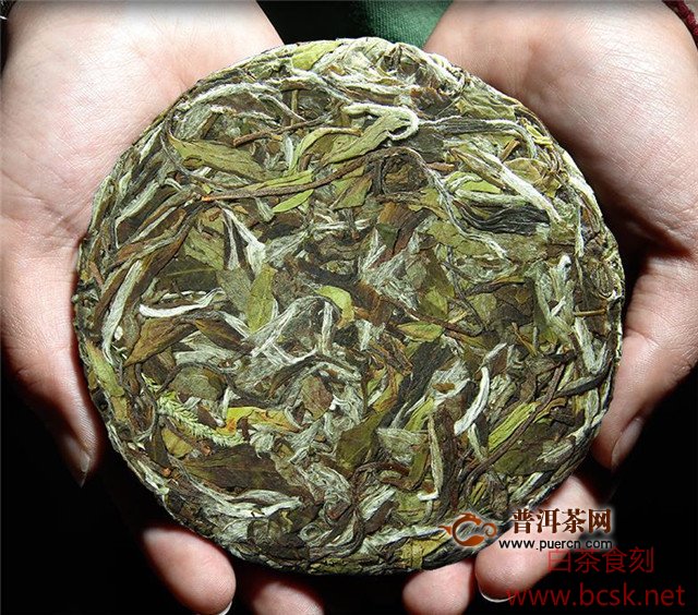福鼎白茶哪个品种最好？不同品种白茶品质特点不同！