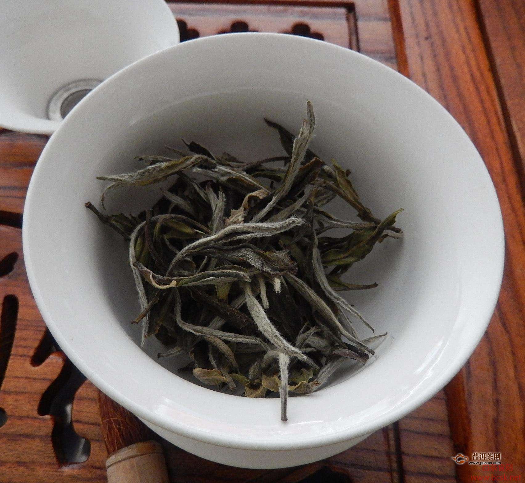 白牡丹茶属于绿茶吗