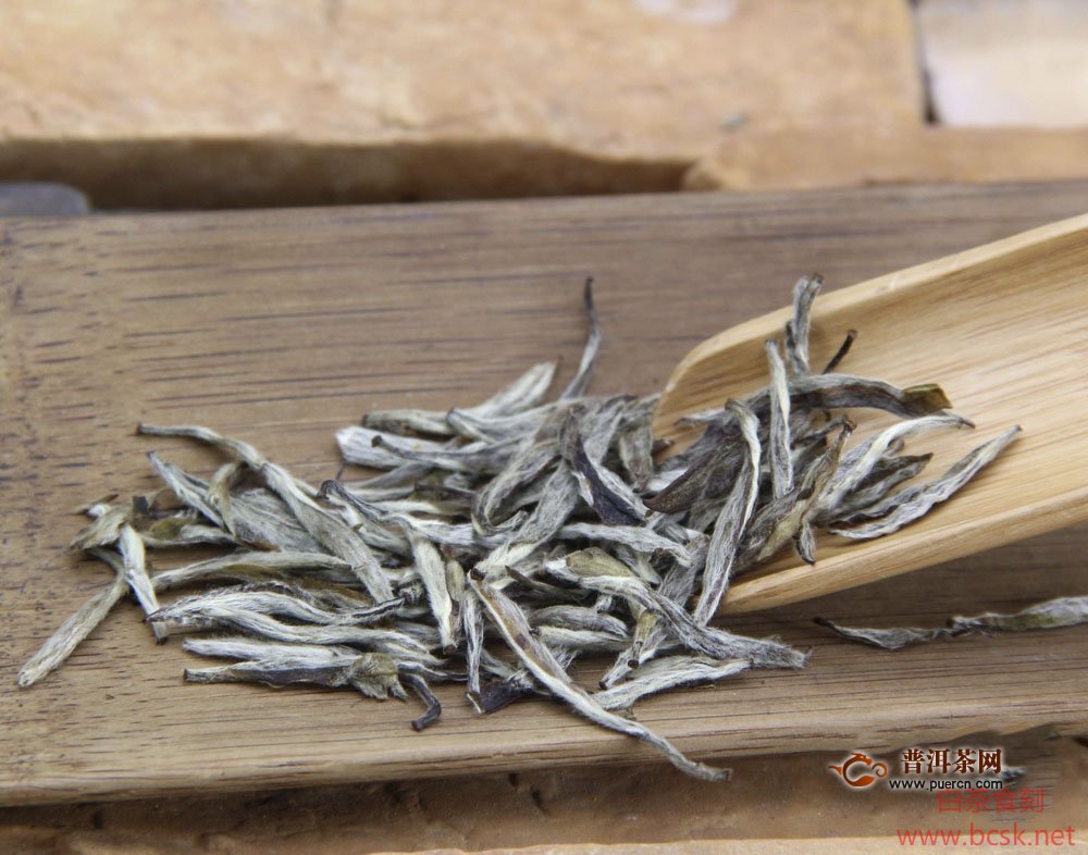 中国十大名茶的“白毫银针”原产地是那个省