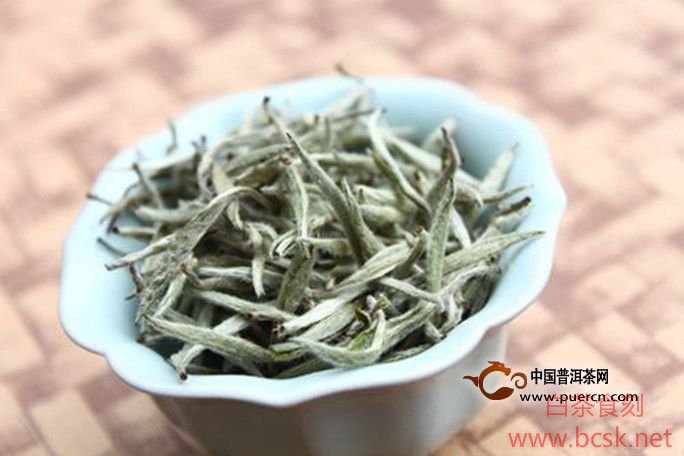福鼎白茶的品种