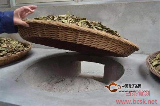 传统白茶初制作工艺