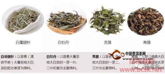 福鼎白茶的9种分类方法