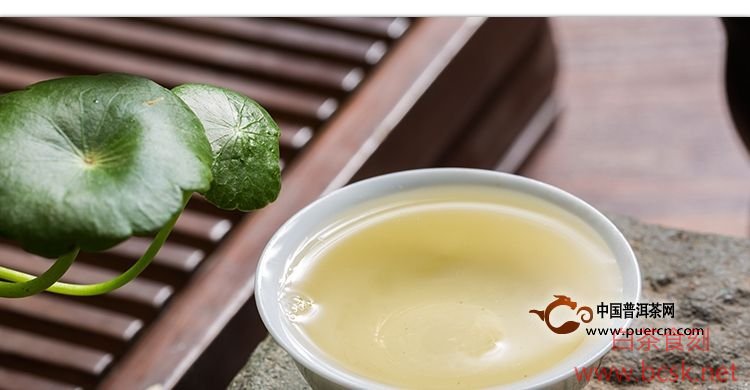 喝白茶对身体的好处有哪些