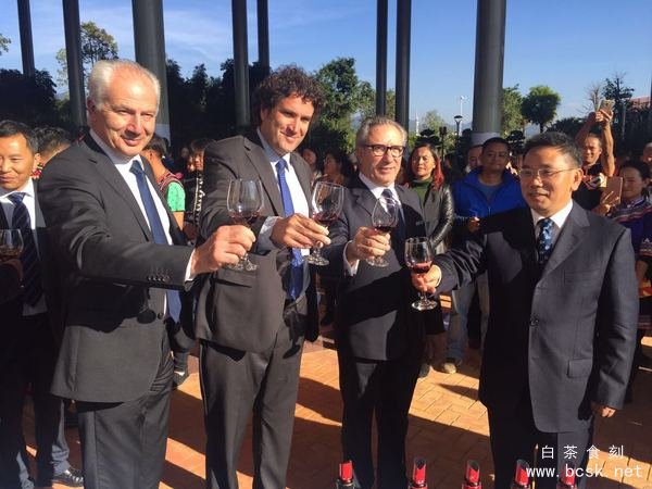 当葡萄酒文化遇到茶文化”主题展于普洱市博物馆揭幕